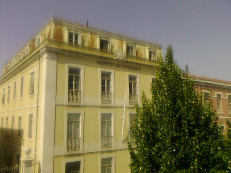 Instituto Camara Pestana0001